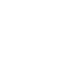 Ironman_Logo_Secondary_W-RGB.png preview